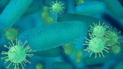 Manuel Viso, doctor: “Colds don’t enter through the feet or come from the cold, they come through the air or the hands”