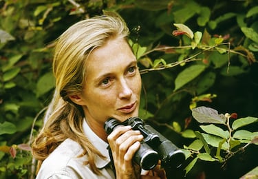 Retrato de Jane Goodall realizado en 1965  en el Parque Nacional del Arroyo de Gombe, Tanzania.