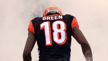 El receptor se perdió siete encuentros de su octava campaña por una lesión en el tobillo y así como la campaña del centenario de la NFL de inicio a fin.