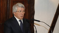 Cerezo: "La modificación del escudo ha sido mínima"
