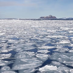 ¿Adiós al hielo del Polo Norte? Un estudio señala la fecha en la que se derretiría todo el hielo marino en verano