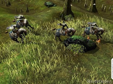 Descubre más sobre Dragonshard