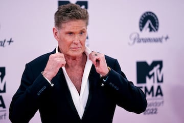 David Hasselhoff.