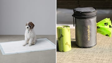 5 accesorios para perros que son imprescindibles en el d¨ªa a d¨ªa de tu mascota