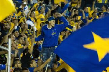 La Barra de los Tigres (Libres y Lokos).