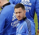 Hazard no se rinde