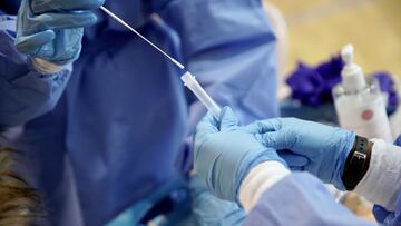 29/01/2021 La Comunidad De Madrid Realizará Pruebas De Antígenos En Las Matas
SALUD
AYUNTAMIENTO DE LAS ROZAS