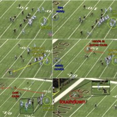 Cam Newton 2015: El año que vuela hacia el M.V.P