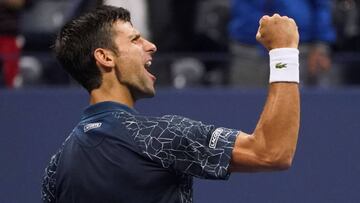 Djokovic fulmina a Nishikori y jugará ante Del Potro su 8ª final