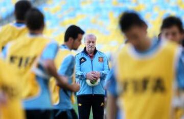 Vicente del Bosque.