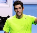 Del Potro, en semis al batir a Federer y deja fuera a Ferrer