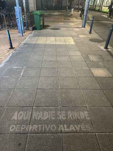 Vitoria, en blanco y azul