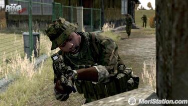 ArmA 2, Impresiones