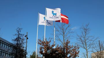 FILE PHOTO: Flags are seen outside Novo Nordisk headquarters in Copenhagen, Denmark, February 5, 2020. REUTERS/Jacob Gronholt-Pedersen/File Photo