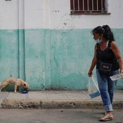 Fase final para la vacuna de Cuba