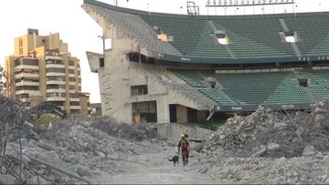 Un bombero y su perro, en las obras del Villamarín.