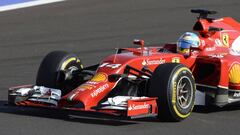 Fernando Alonso, en el GP de Rusia de 2014 con el Ferrari.