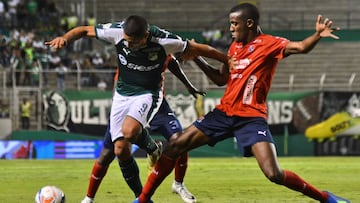 Deportivo Cali fue sancionado con cinco fechas en las que estar&aacute; cerrada la tribuna popular en el estadio Palmaseca por los desmanes ante el Medell&iacute;n