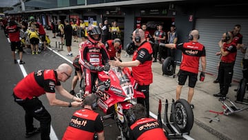 Bulega contra todos y con los pronósticos a favor