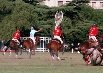 El deporte nacional de Argentina no es el futbol, sino el pato. Similar al polo, consiste en llevar una pelota de cuero con asas, para que el jinete puede recogerla del suelo, hacia el aro contrario, mismo que esta puesto en posición vertical y además tiene una red. Es como el Quidditch (de Harry Potter) pero en caballo, en lugar de escoba… ah, y la pelota no tiene alas.         