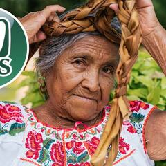 Pensión IMSS: cuándo depositan el pago de mayo y calendario completo del 2024