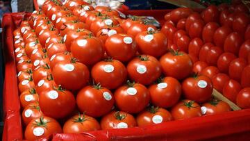 ¿Subirá el precio del jitomate en México?: Así impactará el arancel de 17.09% a la economía de mexicanos