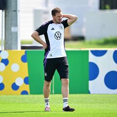 Una plaga de mosquitos atormenta Alemania