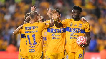 Jugadores de Tigres festejan un gol en contra de los Gallos Blancos.