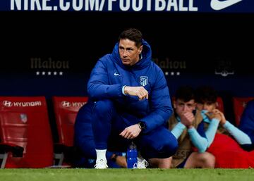 Tras ser el h谷roe de la Eurocopa de 2008, el Ni?o tuvo un papel de m芍s a menos durante aquel mundial, aunque sigui車 siendo importante. En el siguiente verano cambi車 Liverpool por Chelsea, donde tuvo un discreto paso a pesar de ganar la Champions. Pas車 media temporada en Mil芍n antes de regresar al Atl谷tico en el invierno de 2015. Gan車 la Europa League en 2018, su primer t赤tulo como colchonero, justo antes de marcharse al Sagan Tosu japon谷s, donde se retir車 en 2019. En la actualidad es entrenador de las secciones formativas del Club Atl谷tico de Madrid.