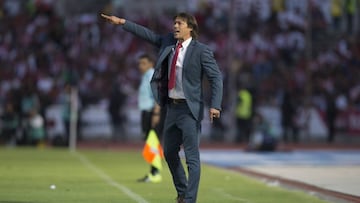 Mat&iacute;as Almeyda, DT de Chivas, en un partido de la Liga MX.