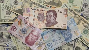 Precio del dólar, 24 de enero: cuál es el tipo de cambio en México