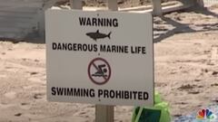 Un cartel advierte del peligro en el agua por tiburones, por lo cual prohibe nadar en la playa, en Long Island (Nueva York, Estados Unidos). 