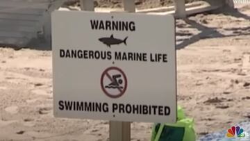 Un cartel advierte del peligro en el agua por tiburones, por lo cual prohibe nadar en la playa, en Long Island (Nueva York, Estados Unidos). 