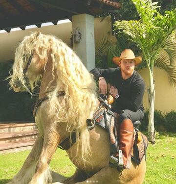 Otra de las grandes pasiones del peleador mexicano son los caballos y él cuenta con compañeros majestuosos 