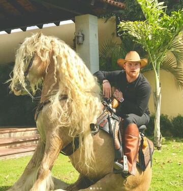 Otra de las grandes pasiones del peleador mexicano son los caballos y él cuenta con compañeros majestuosos