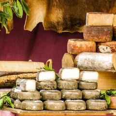 Los cinco mejores quesos de España