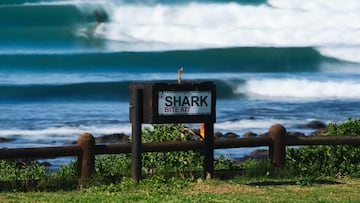 Surf en J-Bay, Sudáfrica, con un kit para ataques de tiburón.