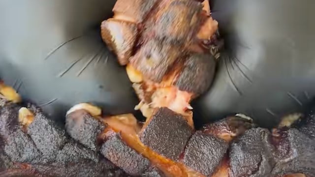 With millions of followers, the man from California will be missed greatly from social media as well as at home.