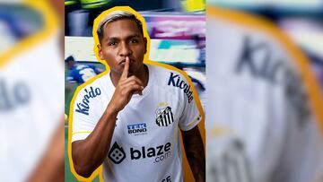 Con este video el equipo brasileño anunció el fichaje del búfalo.