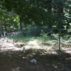 La Alfaguara, nuevo final en alto de la Vuelta a España 2018