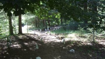 Imagen del Arboretum de Alfaguara, situado en la subida del mismo nombre que se subir&aacute; en la Vuelta a Espa&ntilde;a 2018.