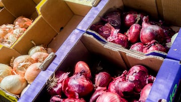 Los trucos para cortar la cebolla sin llorar en el intento