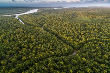 amazonas