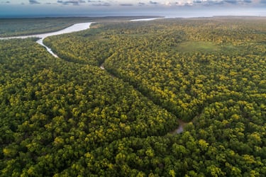 El Amazonas y sus infinitos secretos: encuentran una ciudad pérdida desde hace más de 200 años