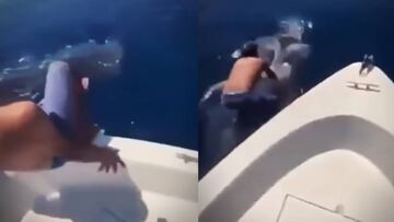Pescador salta sobre un tiburón ballena