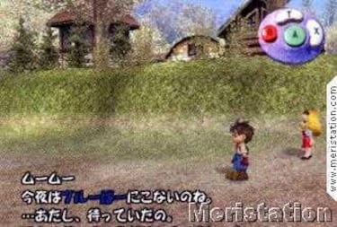 Harvest Moon: A Wonderful Life (GameCube)