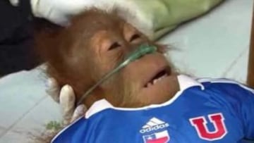 Los memes que se burlan de la U