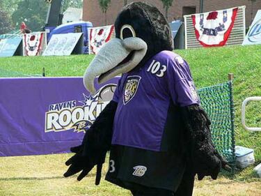 Con quién ir en la Super Bowl: BALTIMORE RAVENS