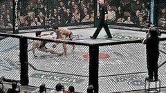 Missouri autoriza las peleas con niños a partir de seis años