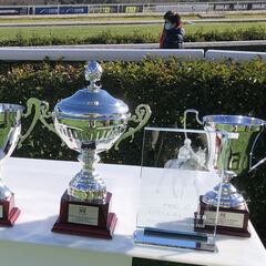 "Sanblass" gana la 363ª y última carrera de 2020 en España